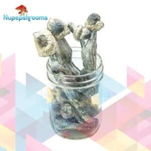 import placeholder for 50344