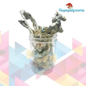 import placeholder for 5289