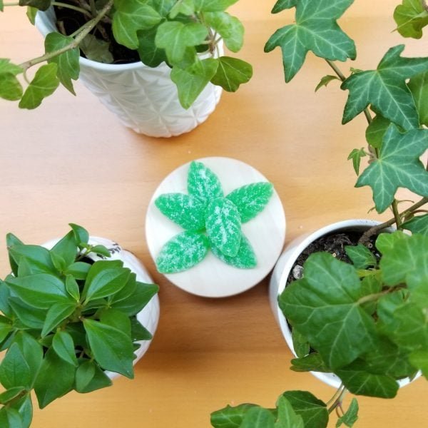 cbd move gummies – mint – 100mg cbd