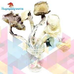 import placeholder for 49421