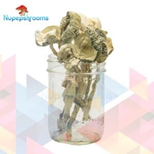 import placeholder for 65474