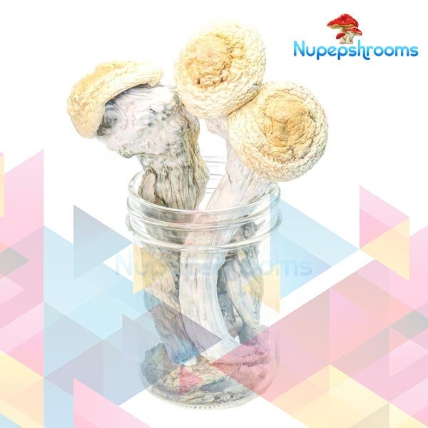 import placeholder for 59131