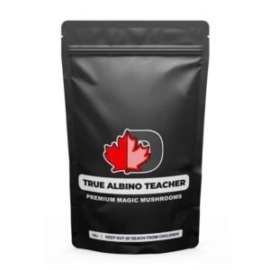 import placeholder for 510