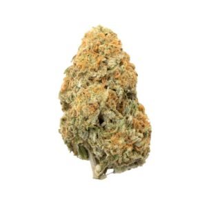 import placeholder for 53173