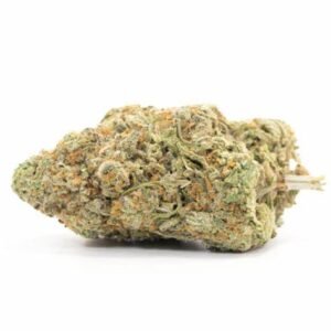 import placeholder for 194613