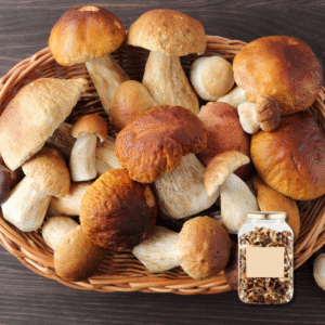 Dried Porcini 500g - Jean D'Audignac