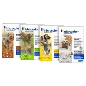 Interceptor Flavour Tabs Cats/Dogs