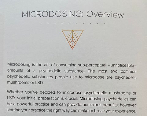 Odin Microdosing Journal/Guidebook - Image 2