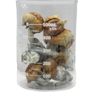 Blue Pulaski Magic Mushrooms