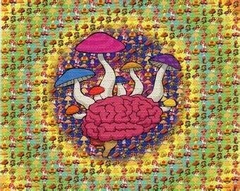 LSD SHEETS - Image 4