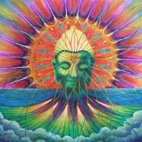 LSD SHEETS - Image 3