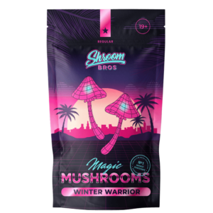 Winter Warrior magic mushrooms