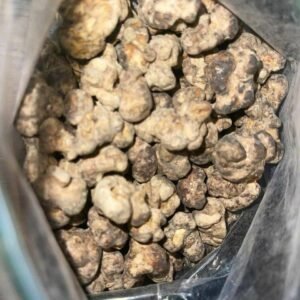 Truffle Magic Mushroom