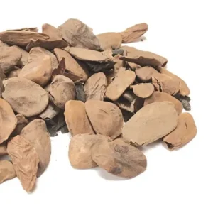 Buy Akuamma Seeds