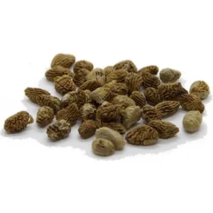 Buy Iboga Seeds