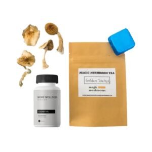 First-Timer Magic Mushroom Kit Psych 101