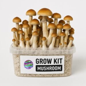 Magic Mushroom Grow Kit ‘Colombian’