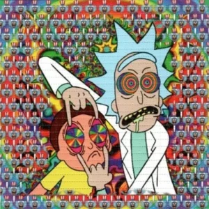 Pure LSD Tab Rick and Morty – Buy LSD Gel tabs Online In Canada