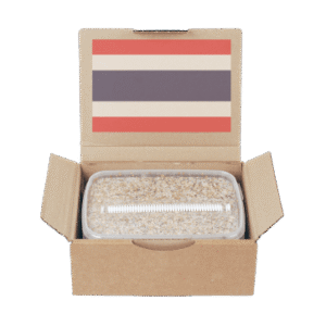 Mondo Magic Mushroom Grow Kits